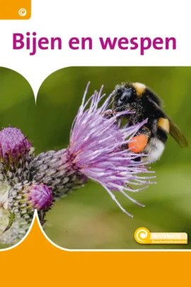 Bijen en wespen