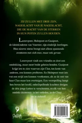 Alternative view of Duistere rivier