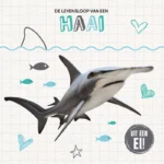 De levensloop van een haai | 9789464396201