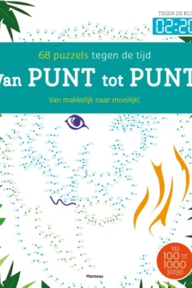 Van punt tot punt