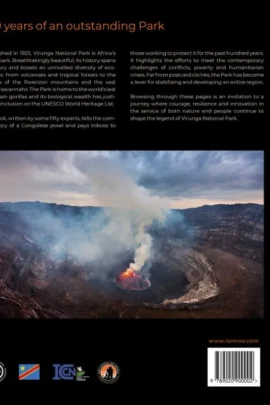 Alternative view of Virunga