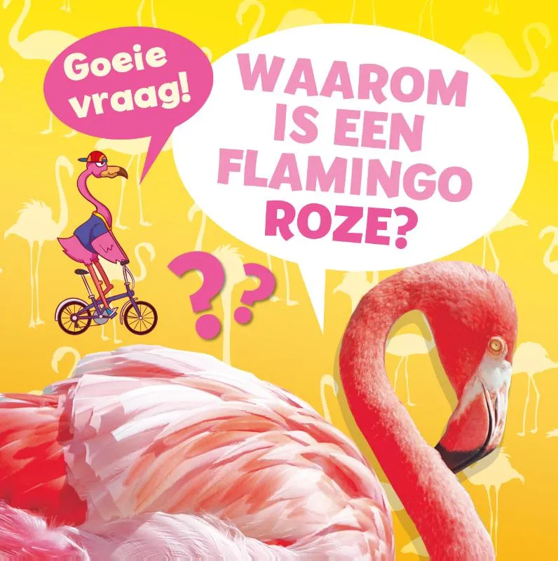 Waarom is een flamingo roze? | 9789086649211 Waarom is een flamingo roze?