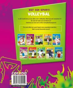 Alternative view of Volleybal