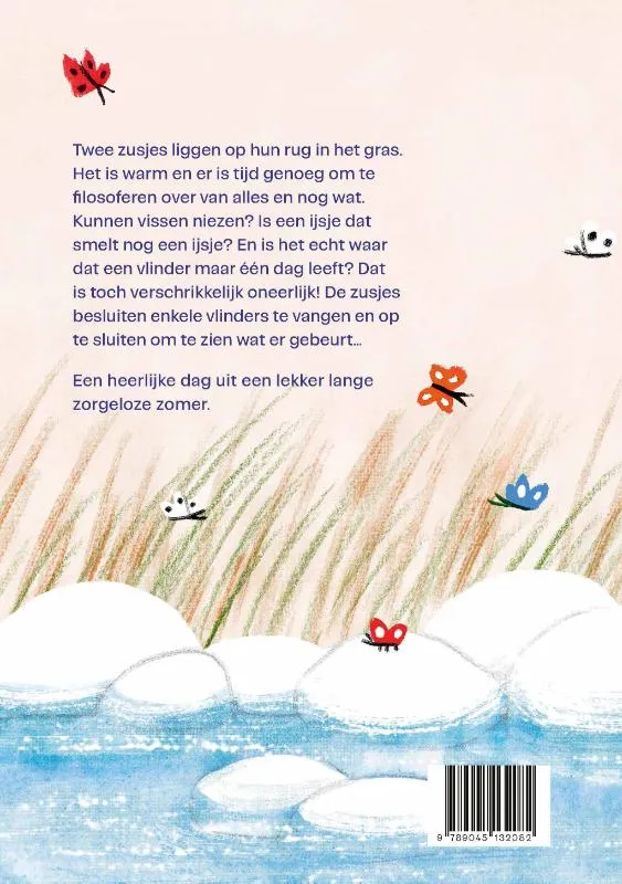 Vlinders vangen | 9789045132082 Vlinders vangen - Afbeelding 2
