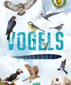 Natuuronderzoekers Vogels