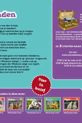 Alternative view of Honden