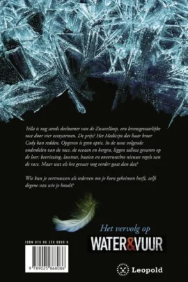 IJs & steen | 9789025868086 IJs & steen | 9789025868086