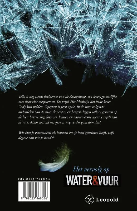 IJs & steen | 9789025868086 IJs & steen - Afbeelding 2