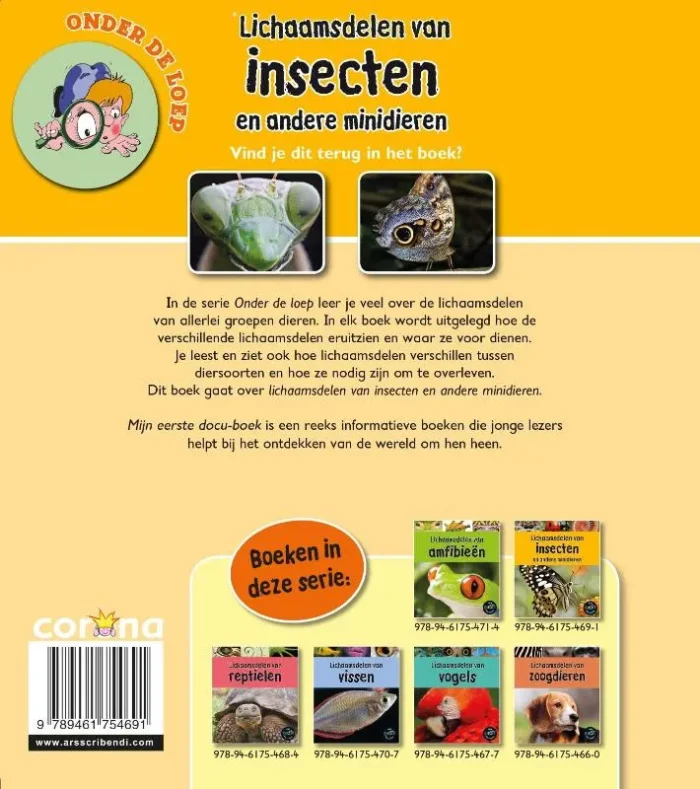 Lichaamsdelen van insecten - Afbeelding 2