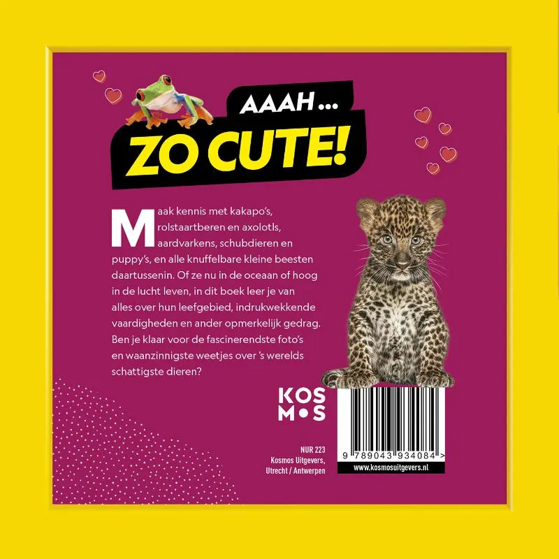 Schattigste dieren op aarde | 9789043934084 Schattigste dieren op aarde - Afbeelding 2