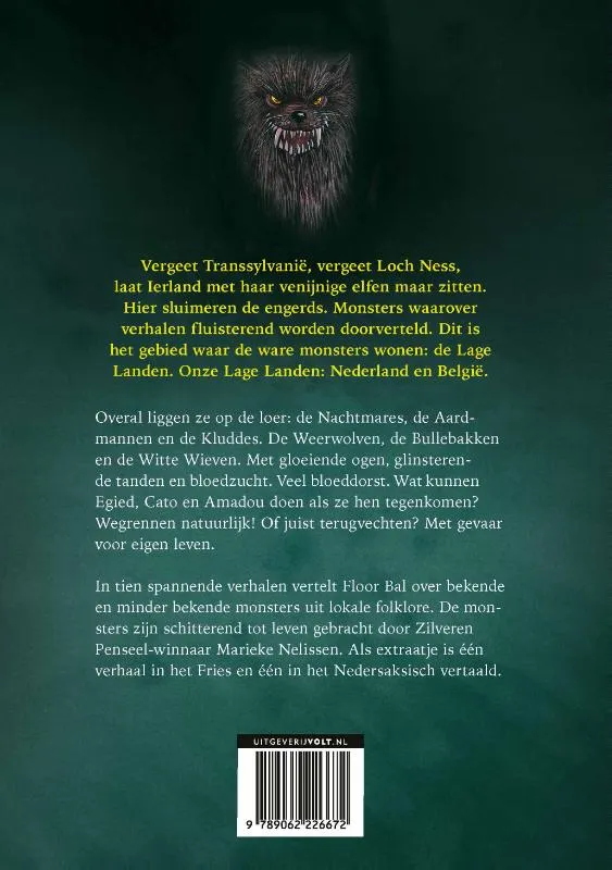 Monsters van de Lage Landen | 9789062226672 Monsters van de Lage Landen - Afbeelding 2