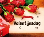 Valentijnsdag | 9789463411769 Valentijnsdag | 9789463411769