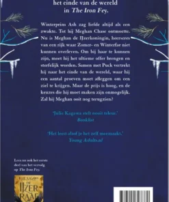 Alternative view of De IJzerprins