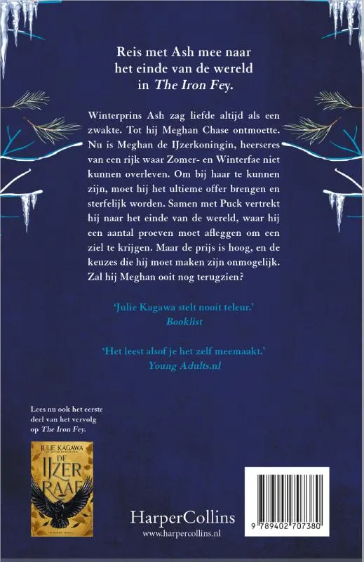 De IJzerprins | 9789402707380 De IJzerprins - Afbeelding 2