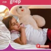 Griep | 9789086647811 Griep | 9789086647811