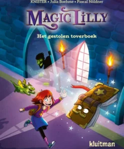 Het gestolen toverboek