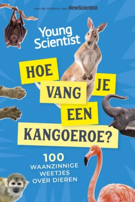 Hoe vang je een kangoeroe?