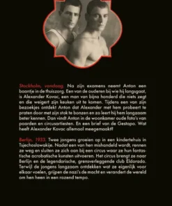 Alternative view of De paardenjongens