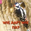 Wie aapt wie na? | 9789463412988