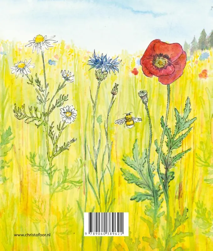 Zomer | 9789060389621 Zomer - Afbeelding 2