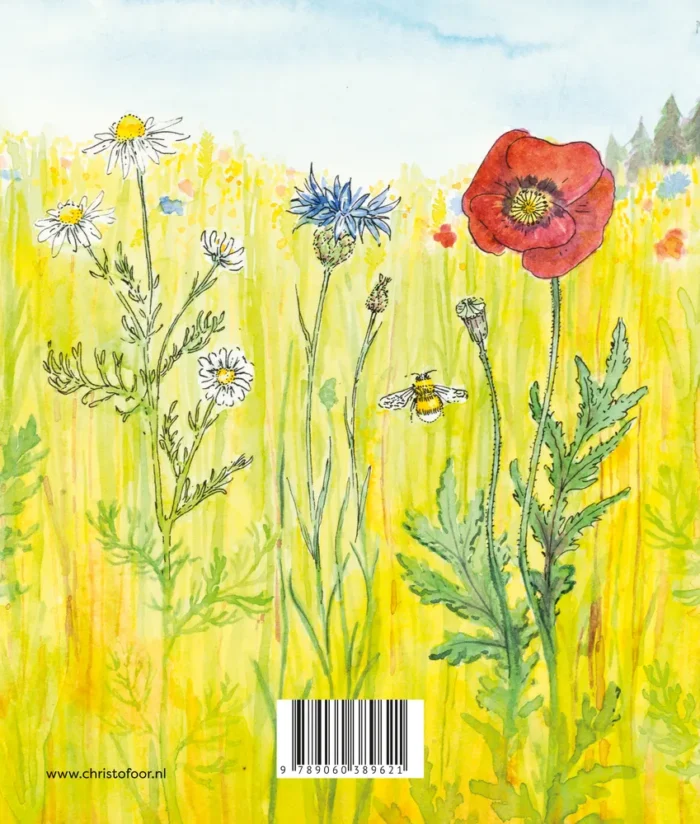 Zomer - Afbeelding 2