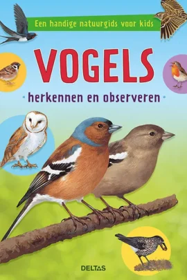 Vogels herkennen en observeren