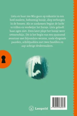 Alternative view of Het geheim van het verdwenen huis