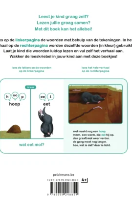 Alternative view of Mol in de put