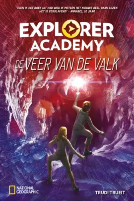 De veer van de valk