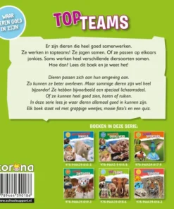 Topteams | 9789464390186