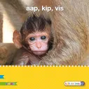 Aap, kip, vis | 9789048719099 Aap, kip, vis