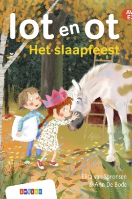 Het slaapfeest
