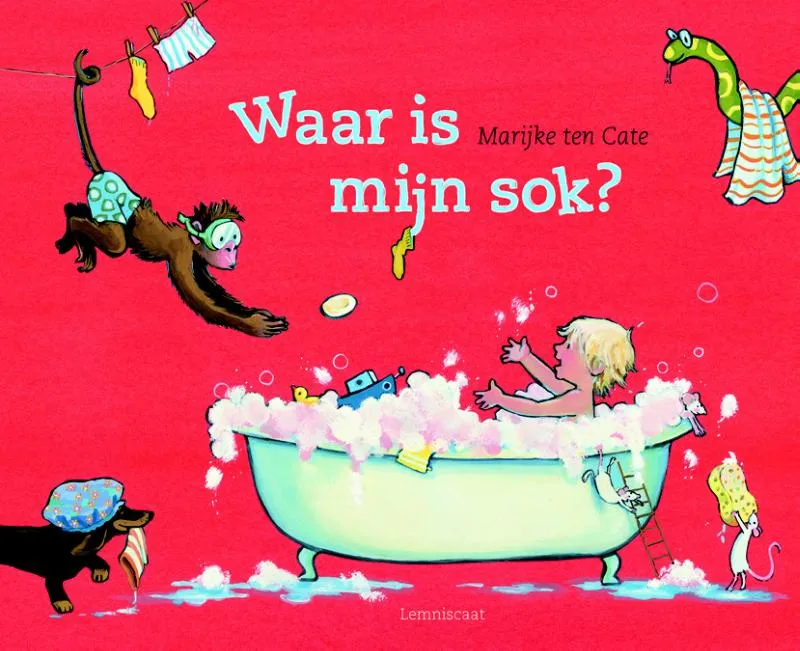 Waar is mijn sok? | 9789047702283 Waar is mijn sok?