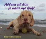Alleen al hoe je naar me kijkt | 9789493280427