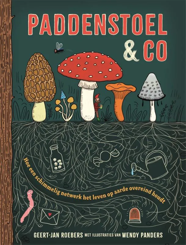 Rapunsel kinderboeken |