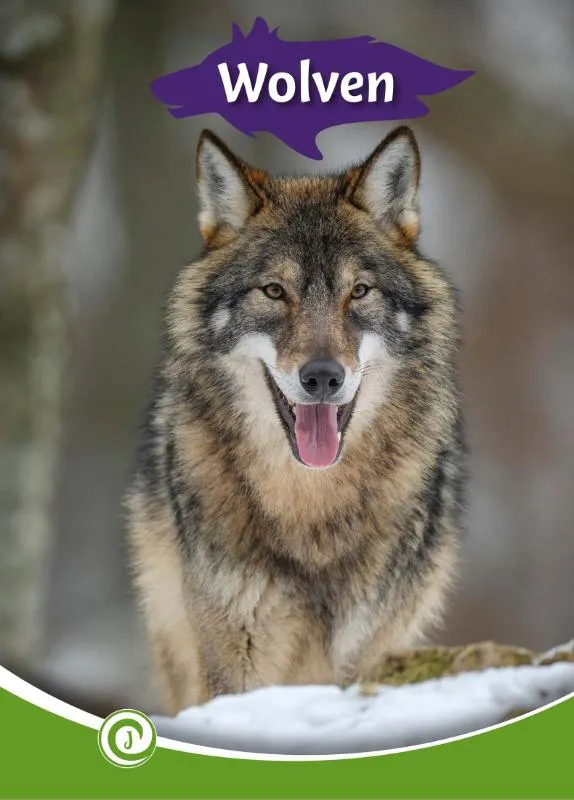 Wolven | 9789464392029 Wolven