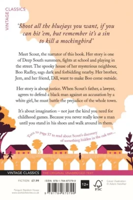 Alternative view of To Kill a Mockingbird