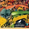 Het lied van de nachtegaal | 9789493228641 Het lied van de nachtegaal | 9789493228641