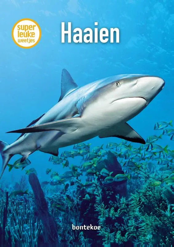 Rapunsel kinderboeken |