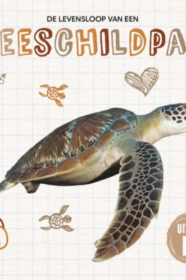 De levensloop van een zeeschildpad