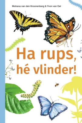 Ha rups, hé vlinder!