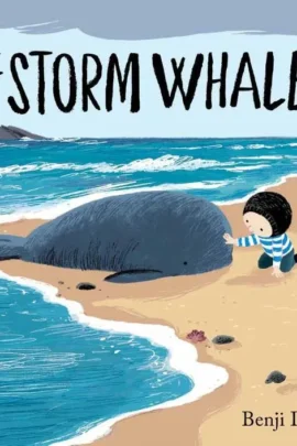 The Storm Whale