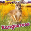 Kangoeroes | 9789086648863