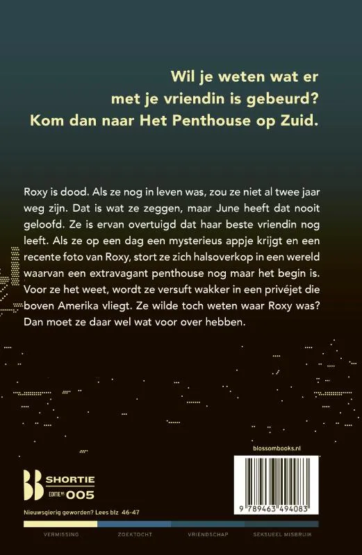 Het penthouse | 9789463494083 Het penthouse - Afbeelding 2