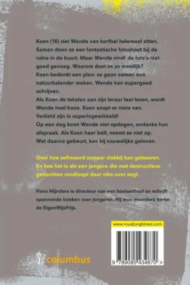 Alternative view of Crash