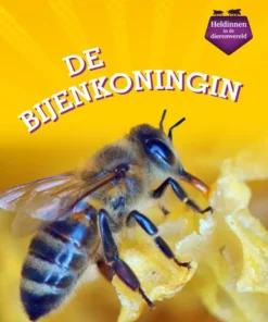 De bijenkoningin