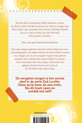 Alternative view of De vergeten jongen