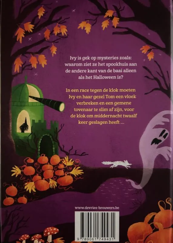 Heksje Ivy en de tijdrover | 9789061749431 Heksje Ivy en de tijdrover - Afbeelding 2