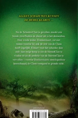 Alternative view of Versplinterde hemel