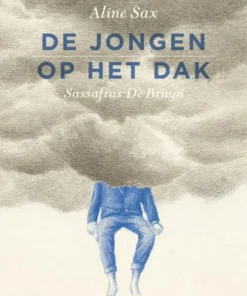 De jongen op het dak